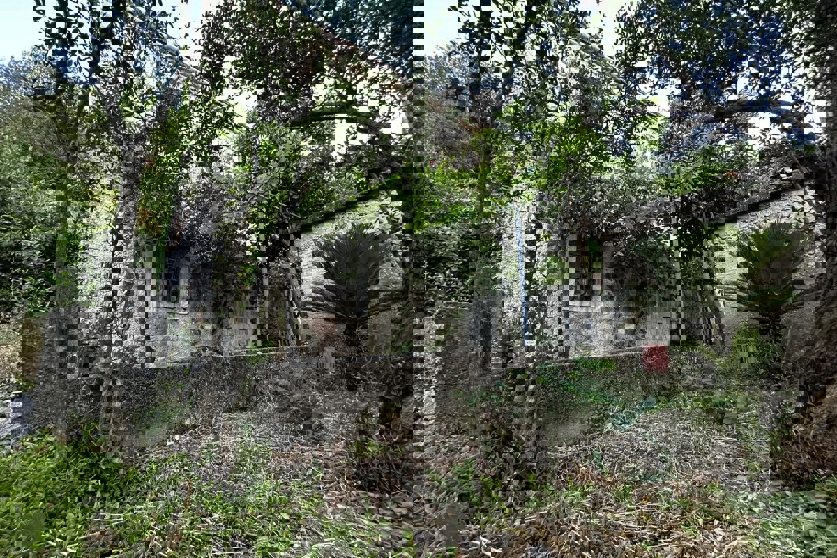 Casa bifamiliare in pietra da ristrutturare