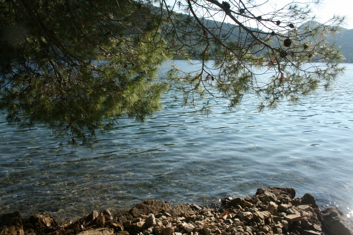 Terreno in posizione eccezionale