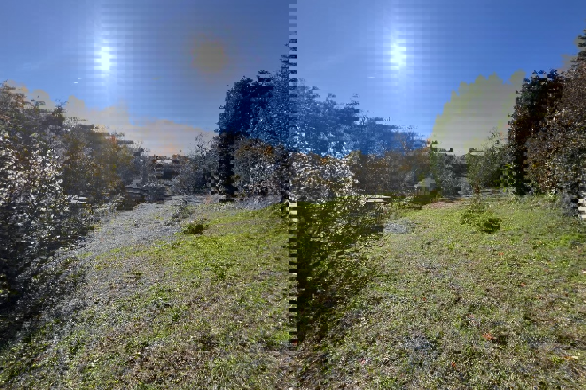 Terreno edificabile con permesso di costruzione