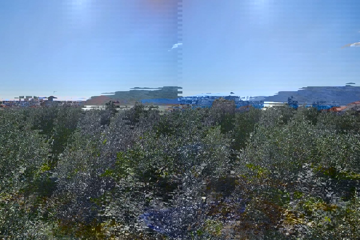 Terreno edificabile vicino al mare