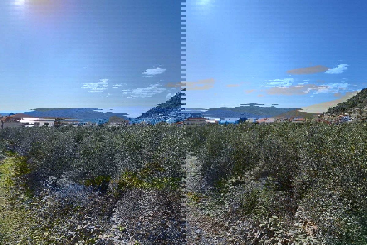 Terreno edificabile vicino al mare