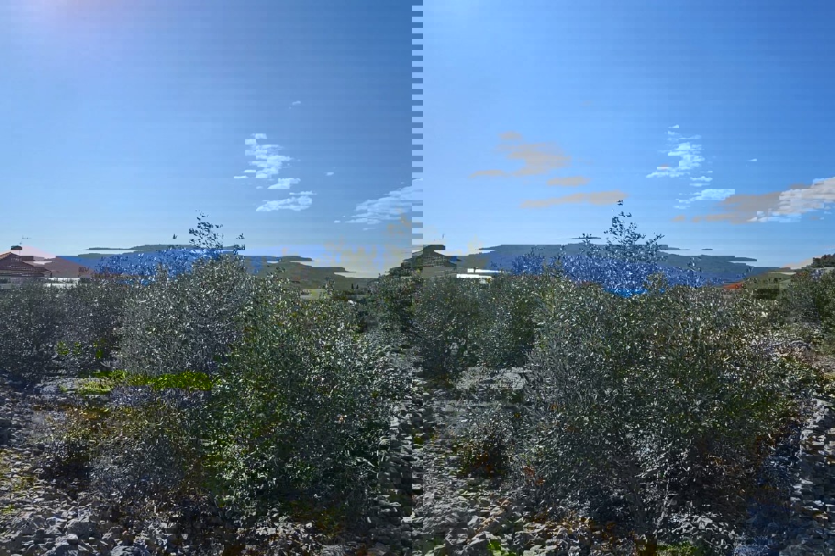 Terreno edificabile vicino al mare