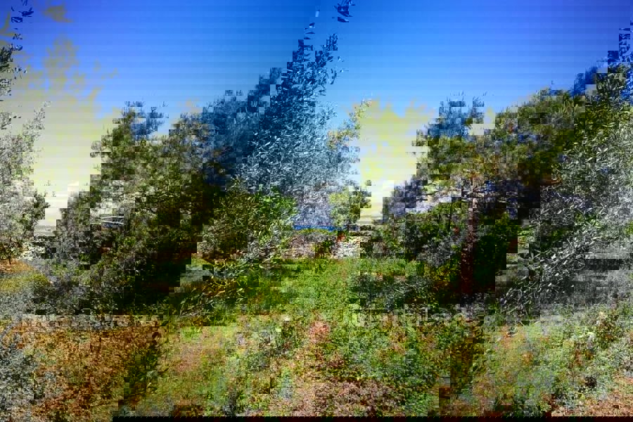 Terreno edificabile prima fila mare