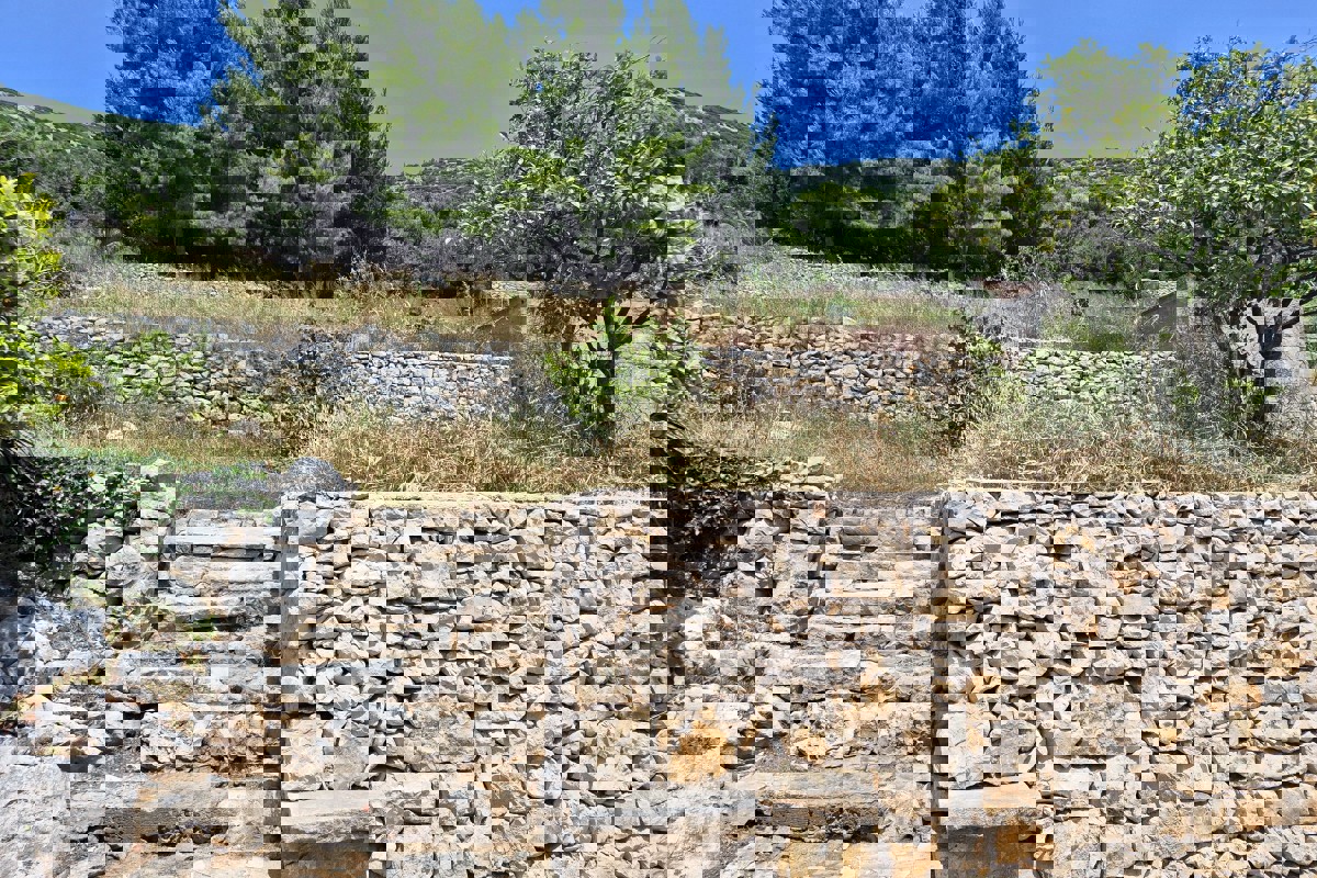 Proprietà spaziosa in prima fila al mare