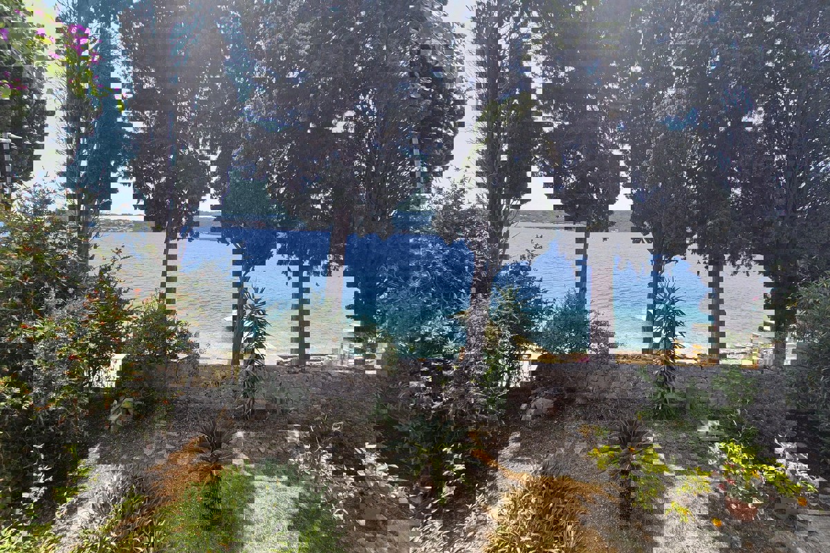 Proprietà spaziosa in prima fila al mare