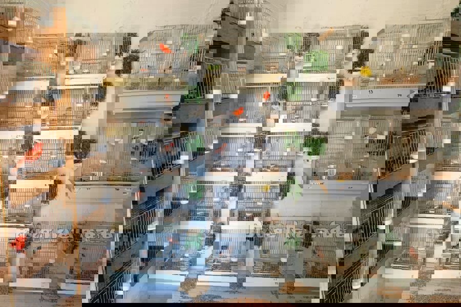 Una vasta tenuta con case per vacanze e turismo