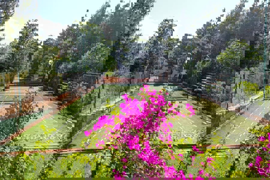 Una vasta tenuta con case per vacanze e turismo