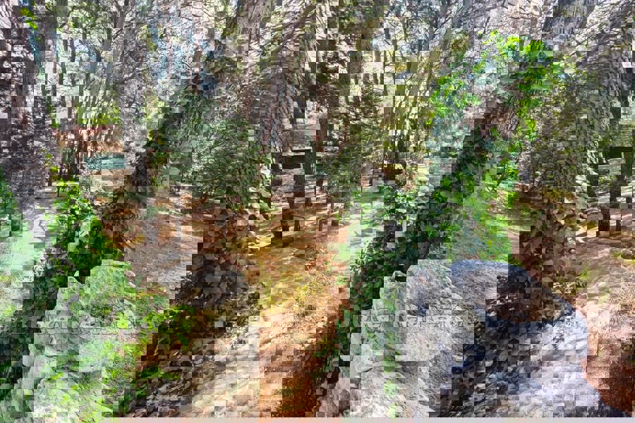 Una vasta tenuta con case per vacanze e turismo