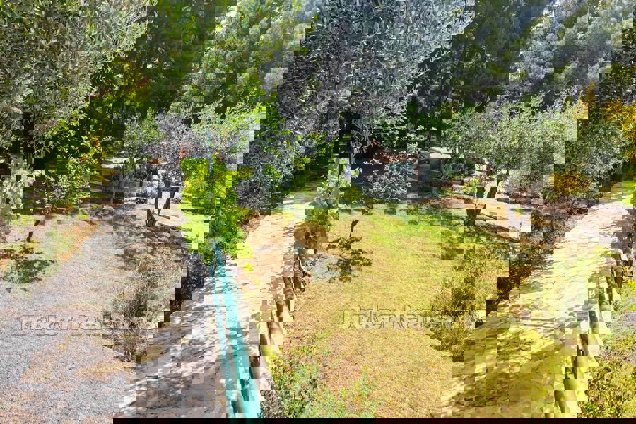 Una vasta tenuta con case per vacanze e turismo