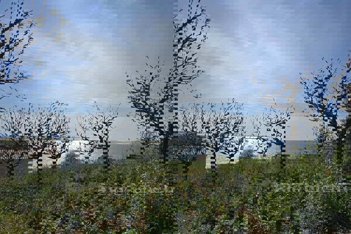Terreno con vista mare