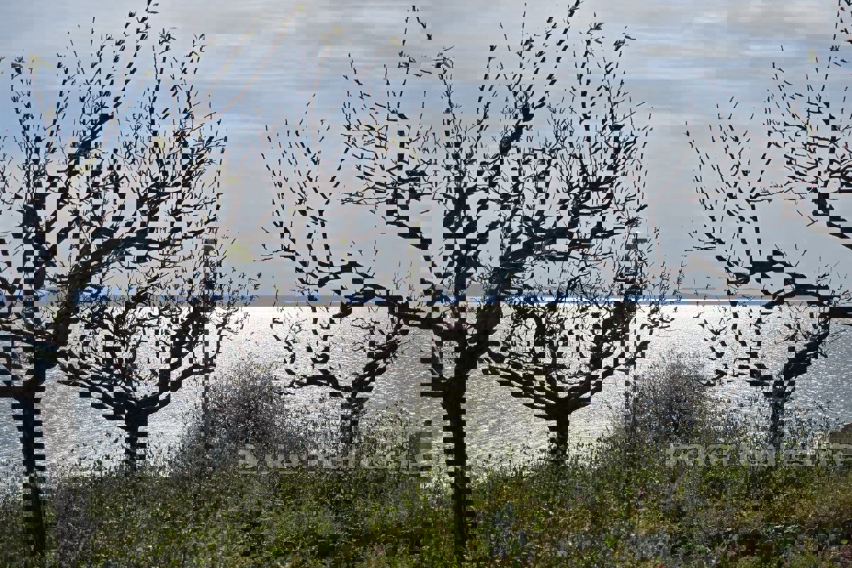 Terreno con vista mare