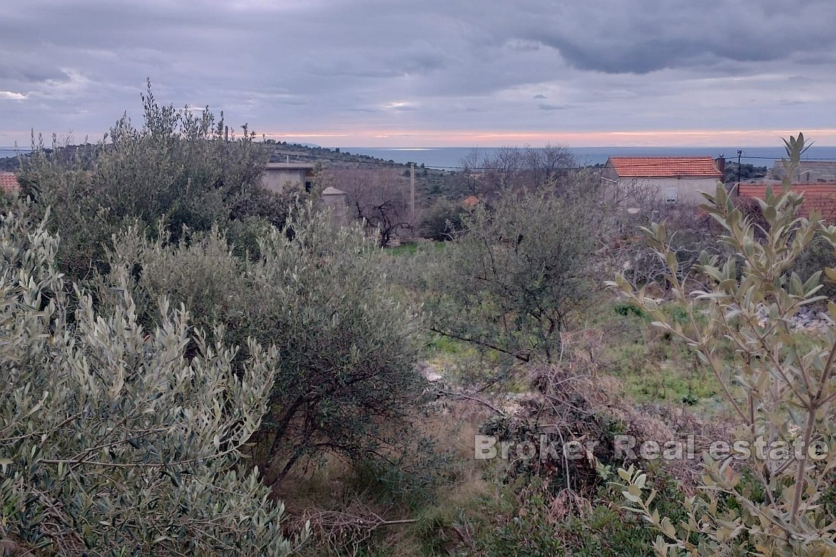 Terreno attraente vicino al mare