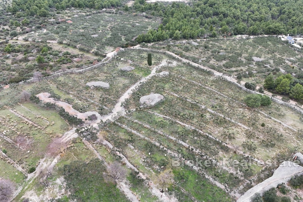 Una proprietà spaziosa in una posizione idilliaca