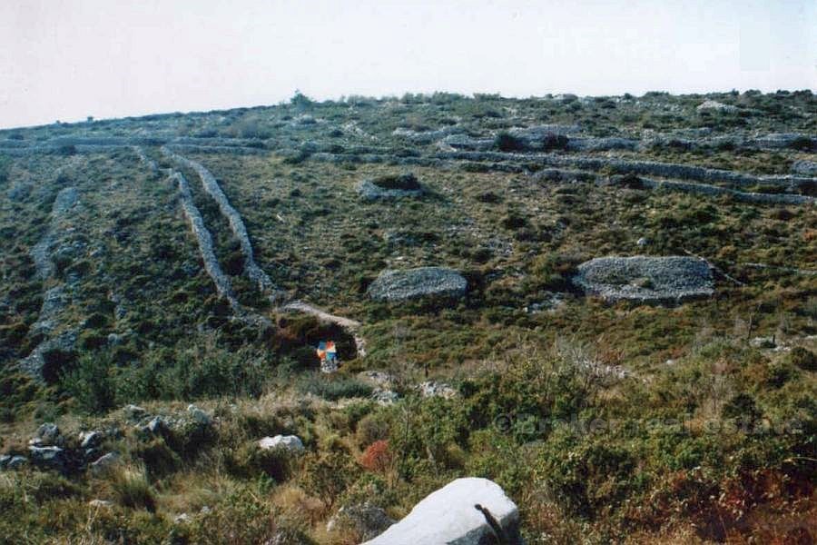 Terreno di 52 000 m2, in vendita