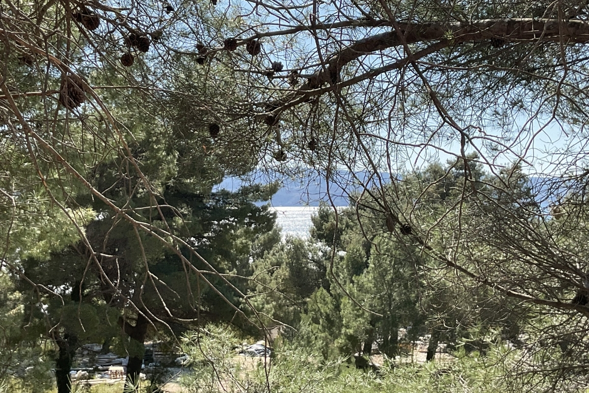 Terreno edificabile con progetto vista mare