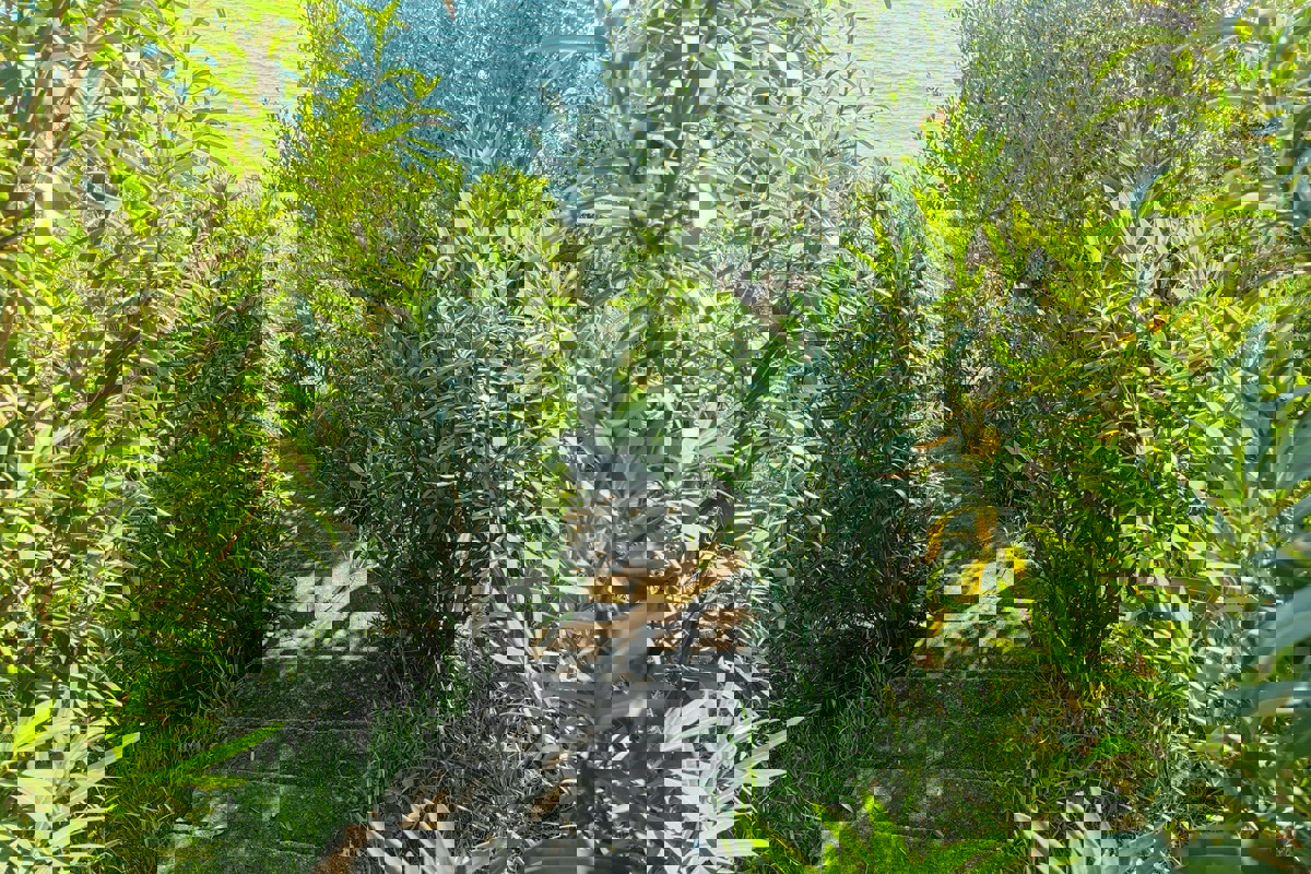 Terra prima fila al mare