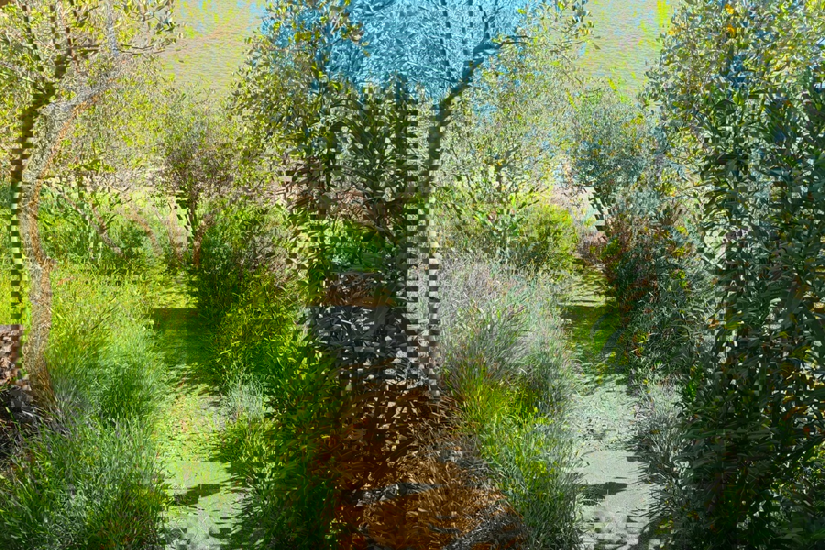 Terra prima fila al mare