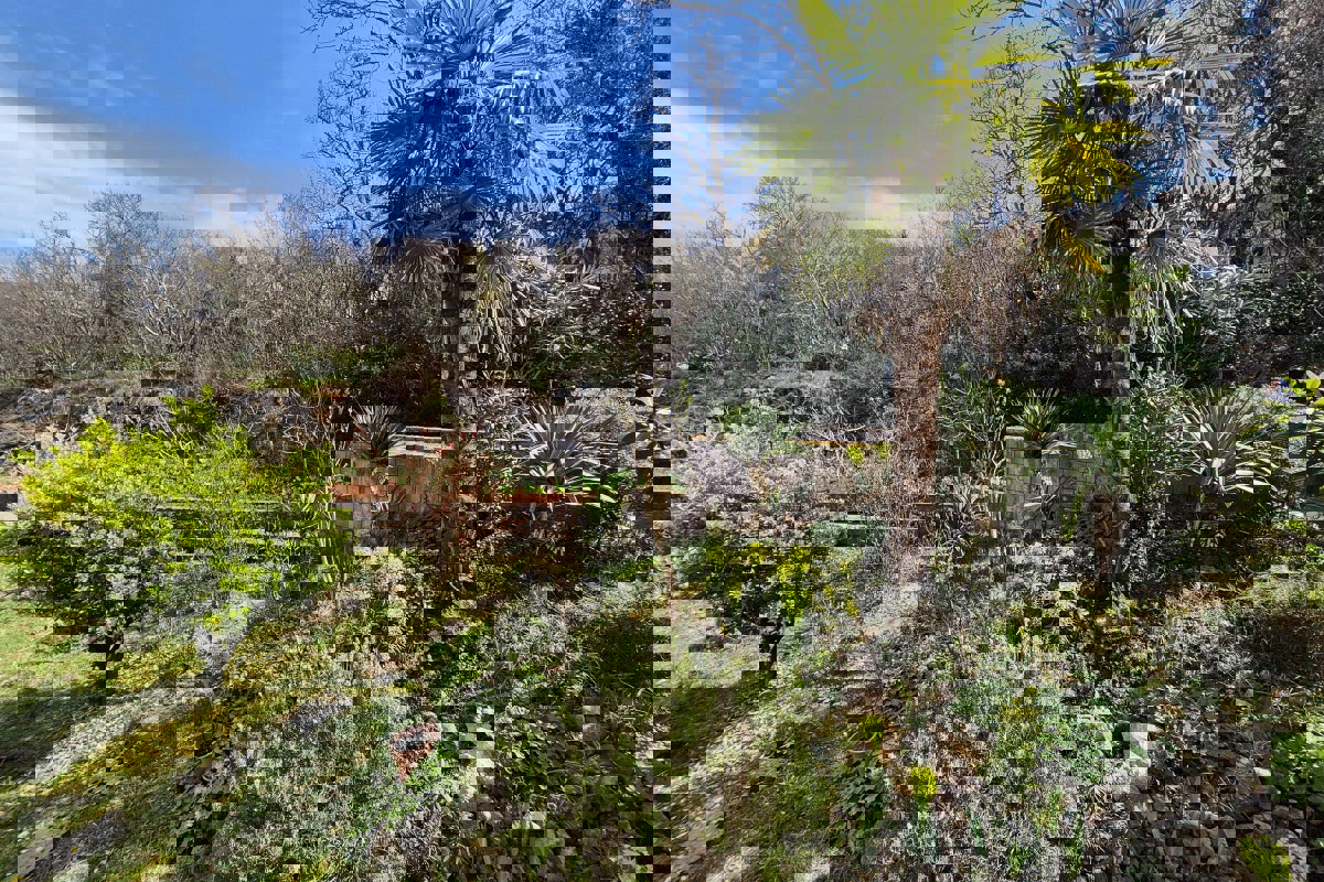 Appartamento con una camera da letto vicino al mare