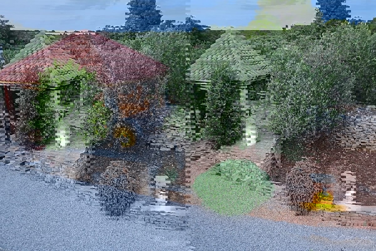 Incantevole casa in pietra immersa in un uliveto