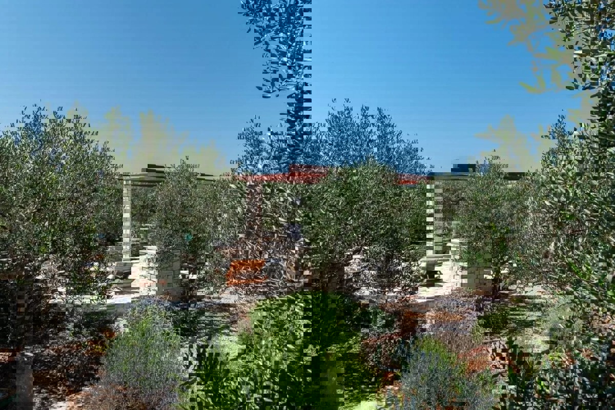 Incantevole casa in pietra immersa in un uliveto