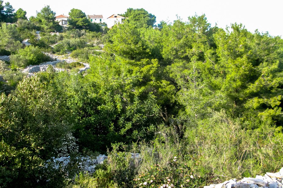 Terreno edificabile con vista mare, in vendita