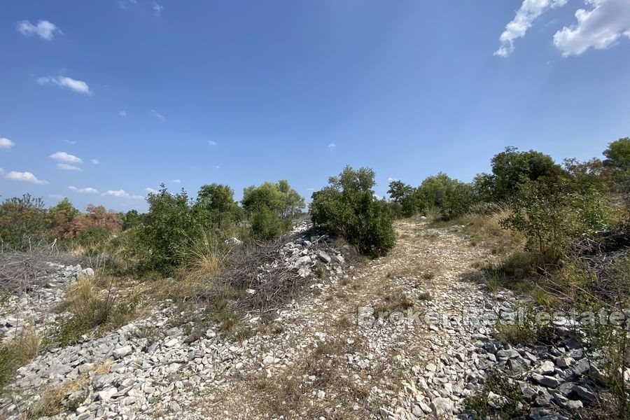 Terreno agricolo prima fila mare