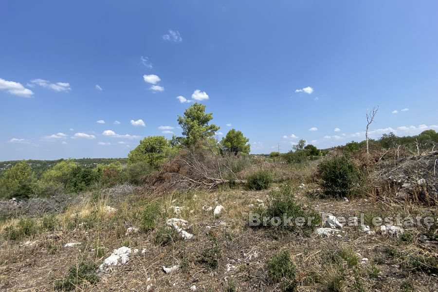 Terreno agricolo prima fila mare