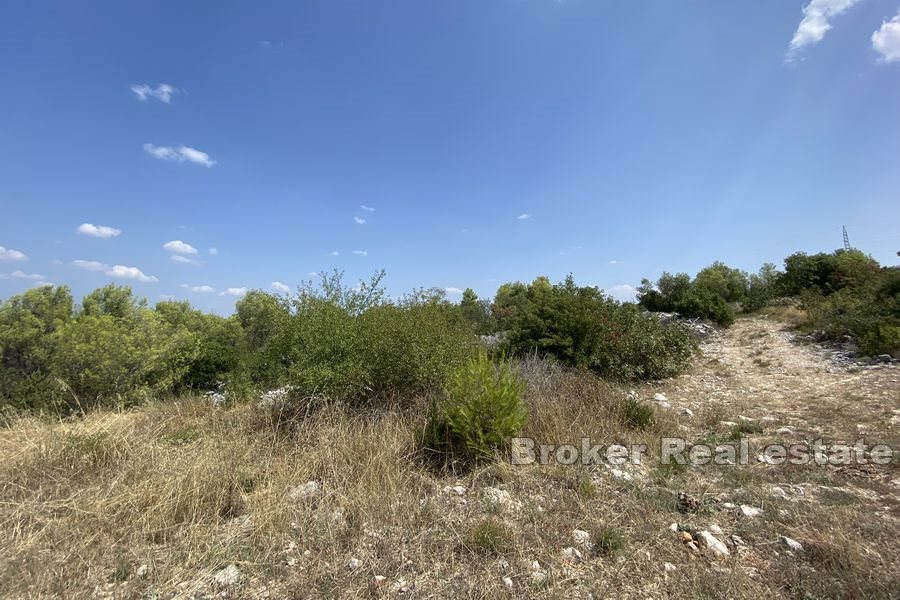 Terreno agricolo prima fila mare