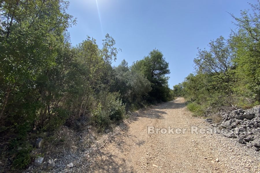 Terreno agricolo prima fila mare