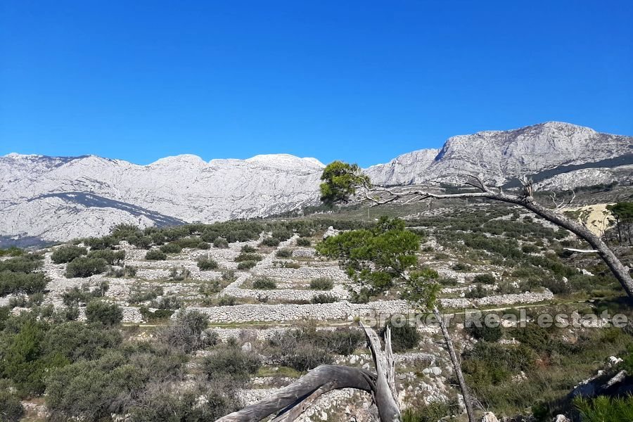 Terreno edificabile con vista panoramica sul mare