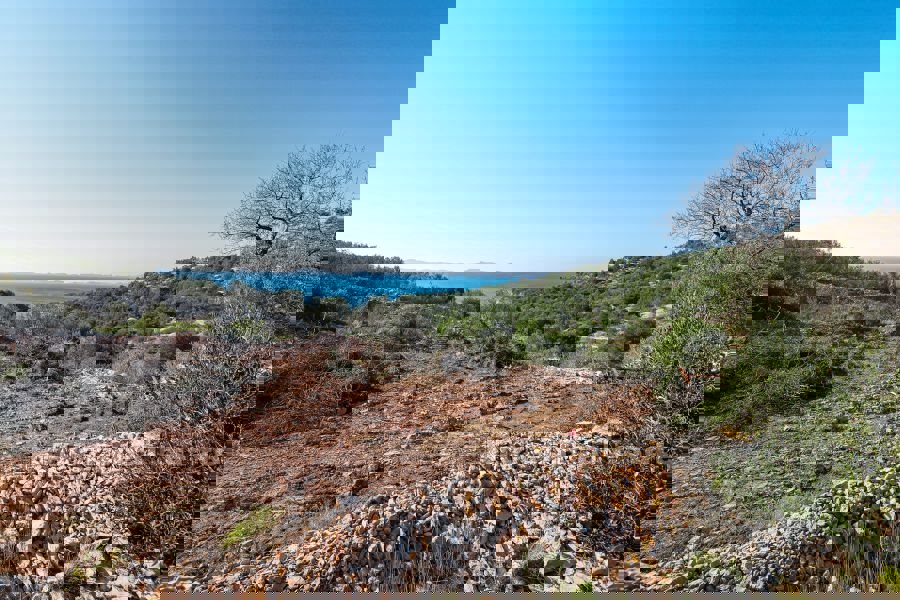 Terreno edificabile non lontano dal mare