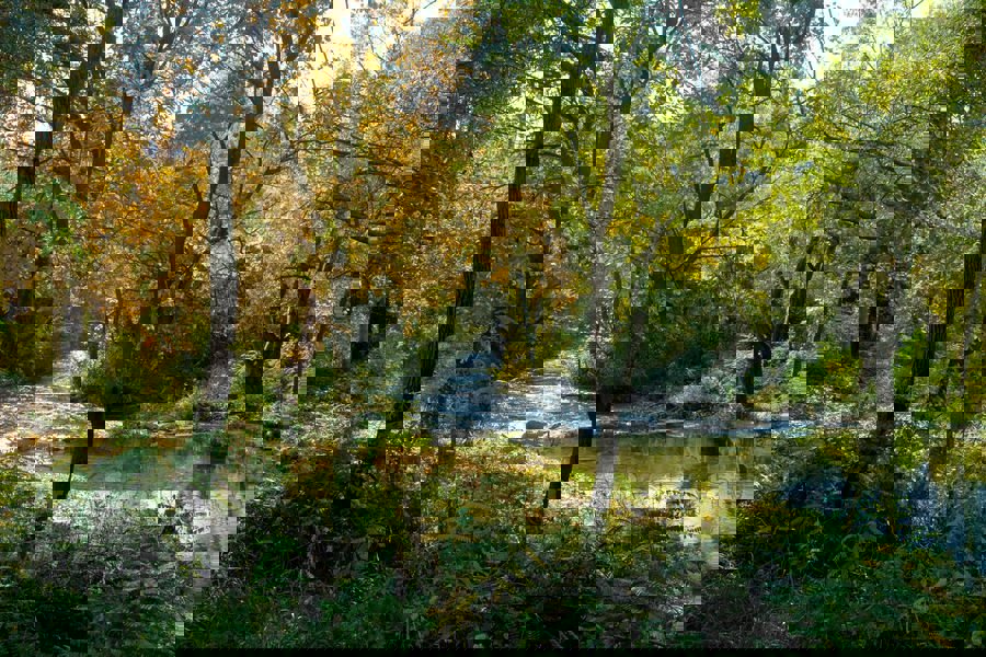 Vecchia casa di pietra per ristrutturazione, in vendita