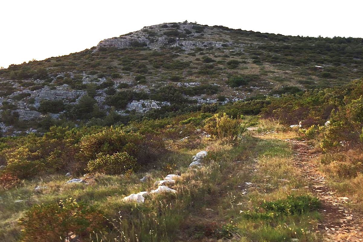 Terreno attraente in riva al mare