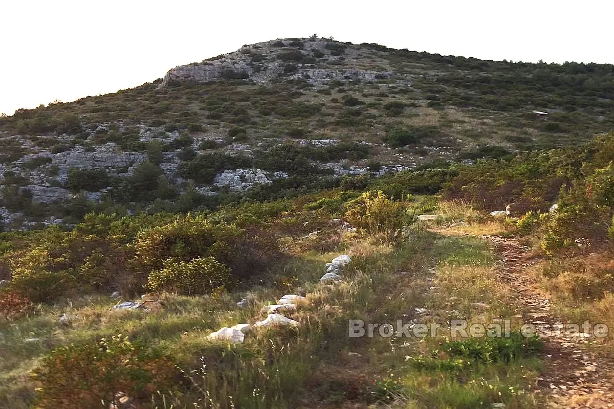 Terreno attraente in riva al mare