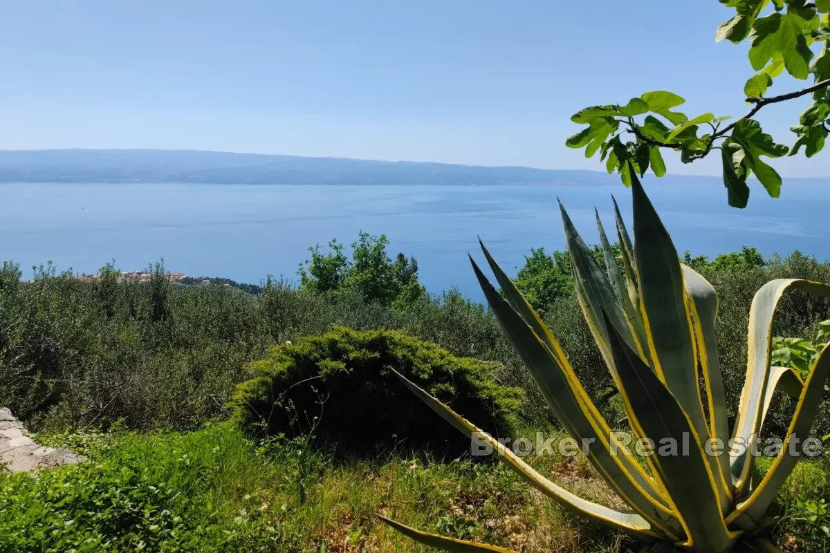 Una casa nella natura con vista panoramica sul mare