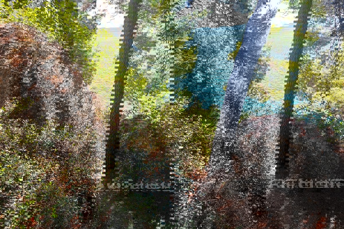 Casa prima fila al mare