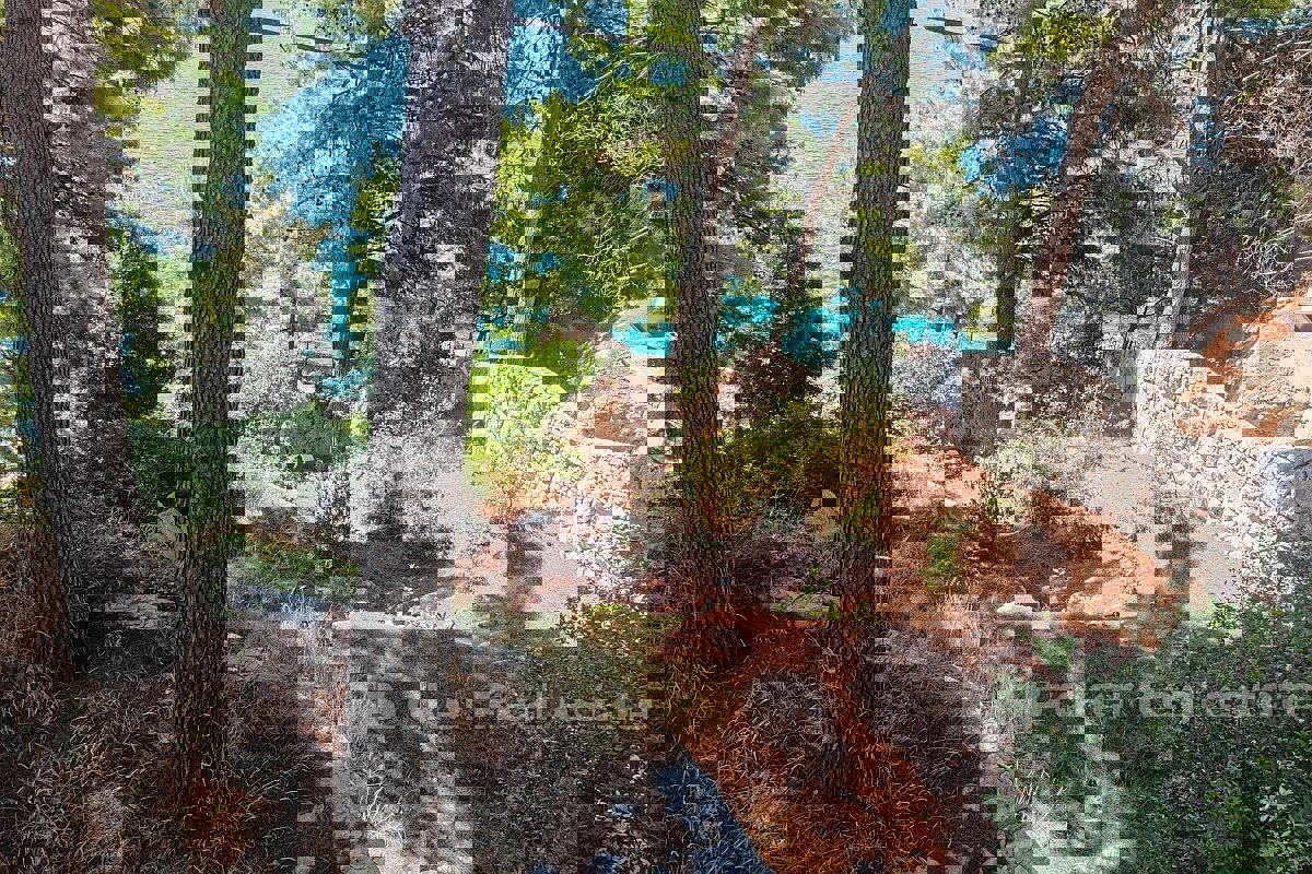 Casa prima fila al mare