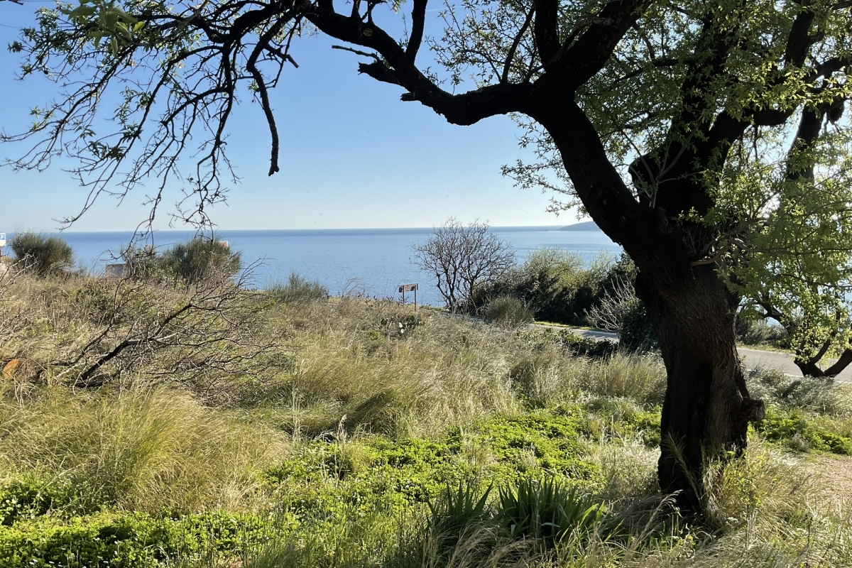 Vecchia casa in pietra con terreno sul mare