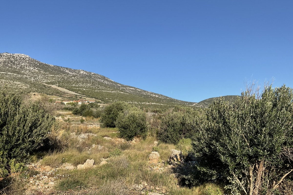 Vecchia casa in pietra con terreno sul mare