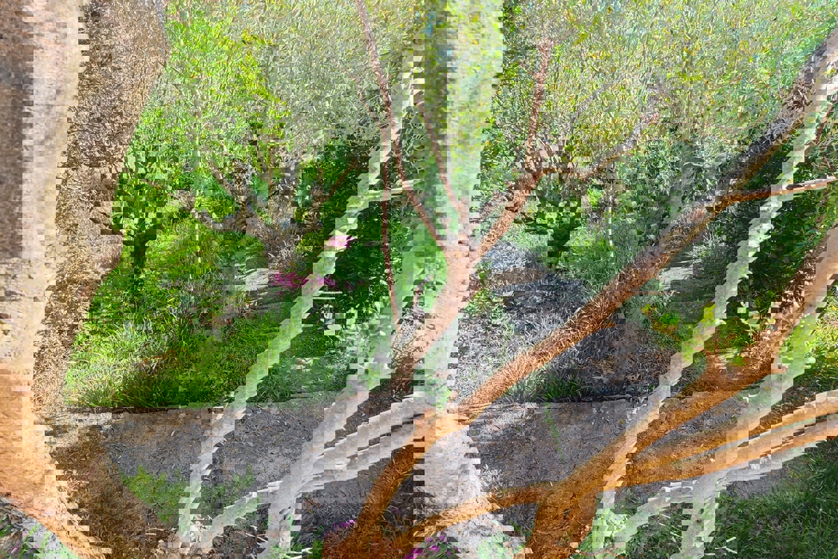 Casa prima fila al mare