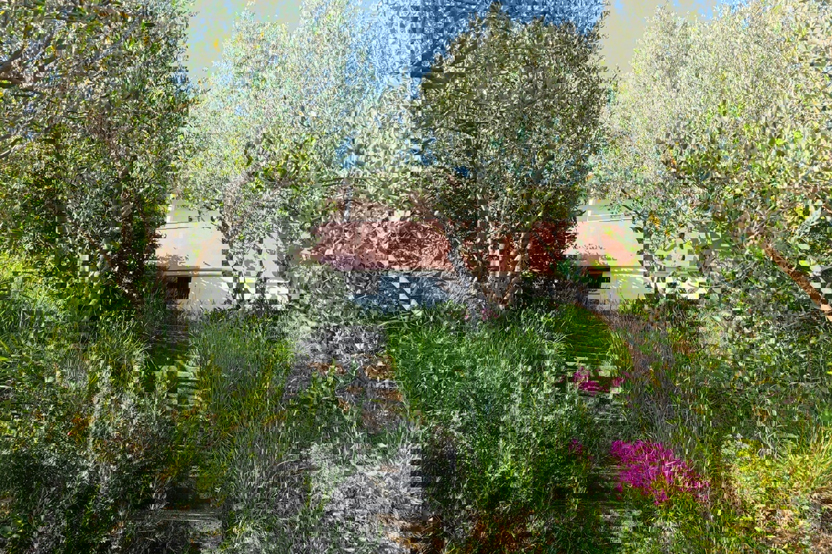 Casa prima fila al mare