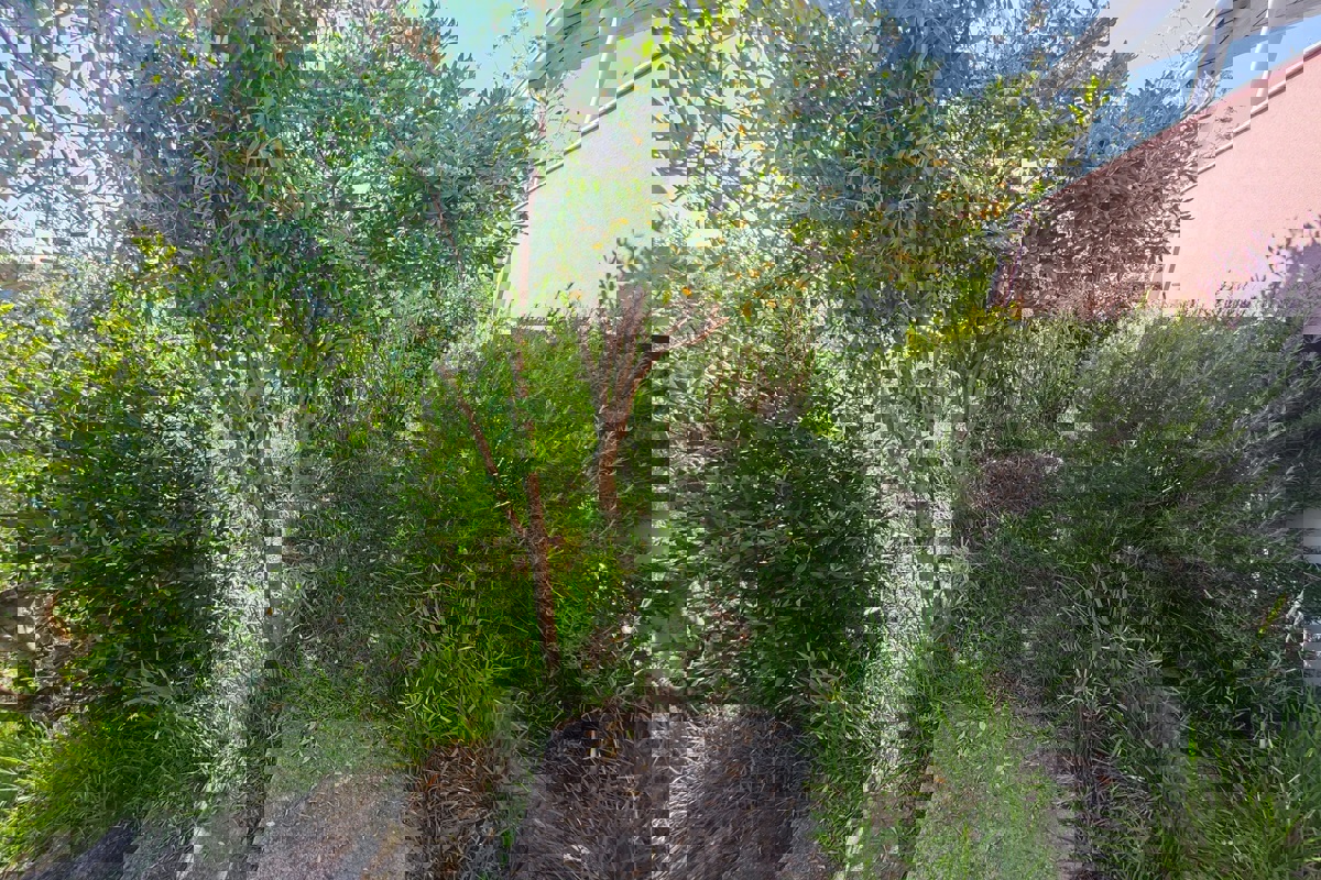 Casa prima fila al mare