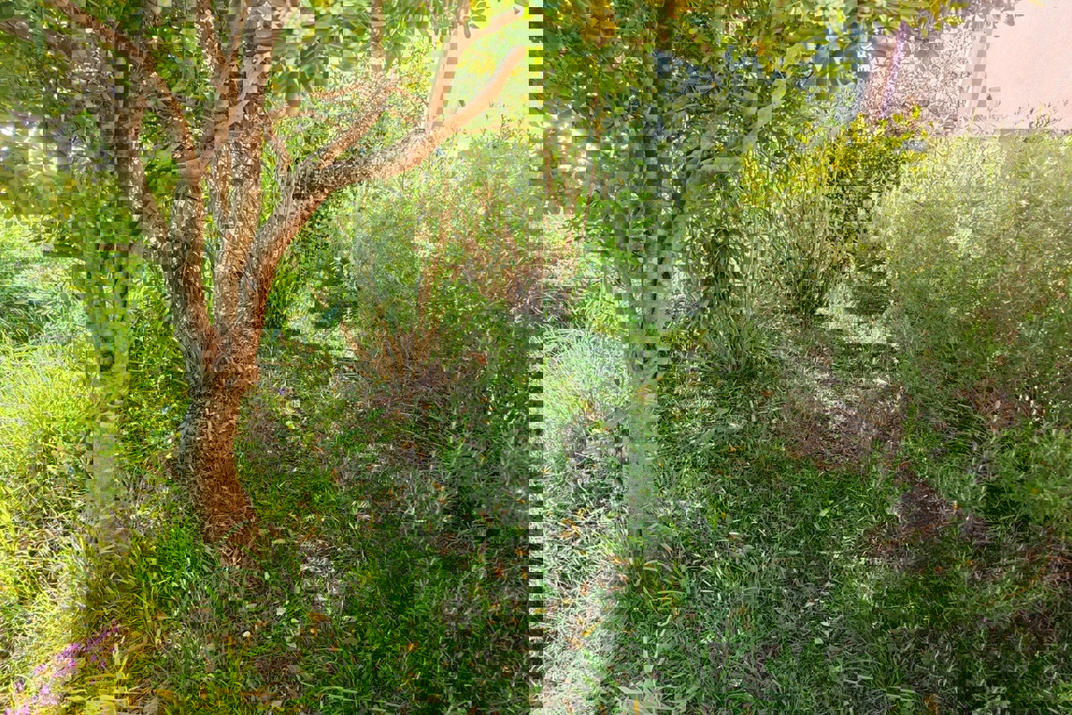 Casa prima fila al mare