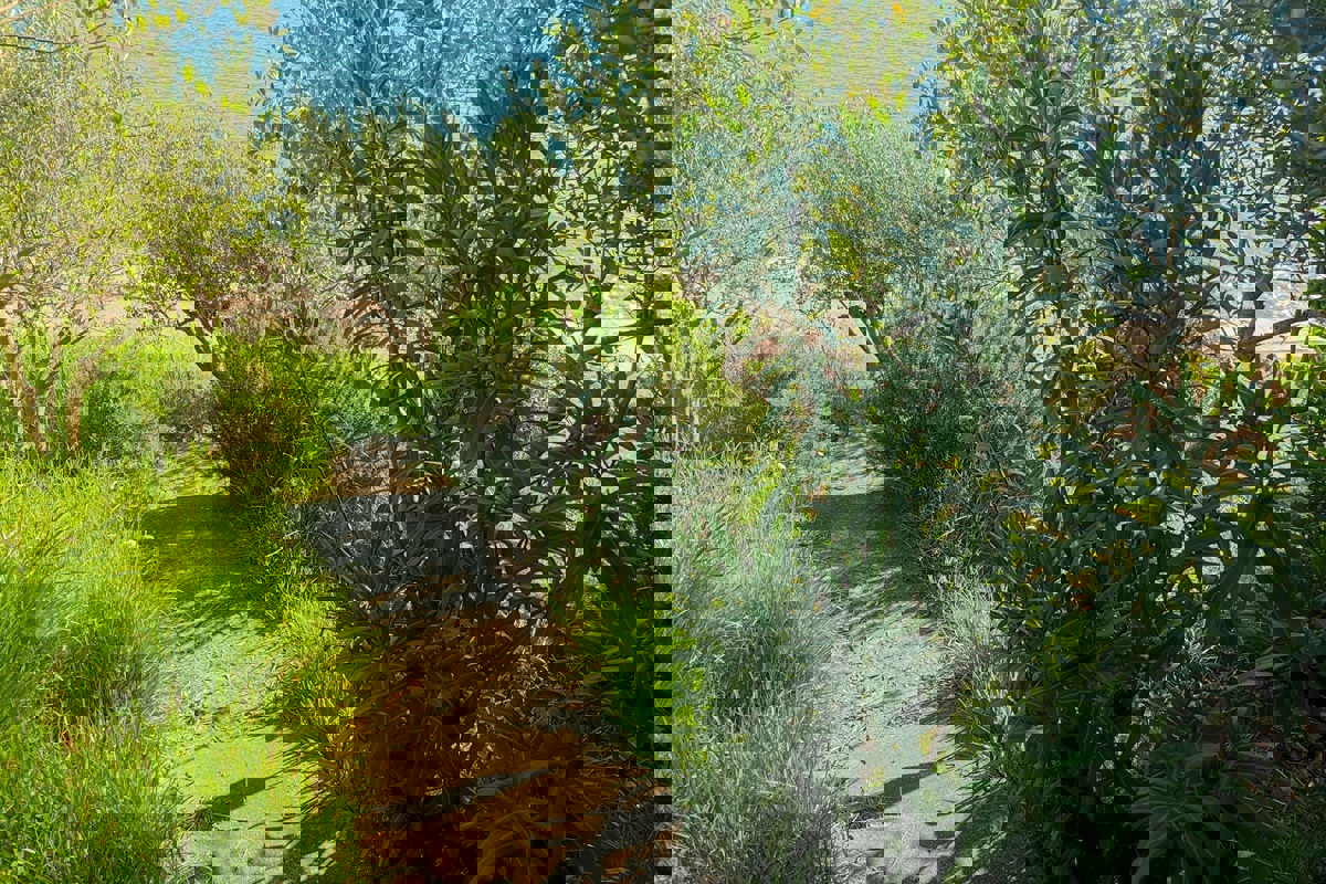 Casa prima fila al mare