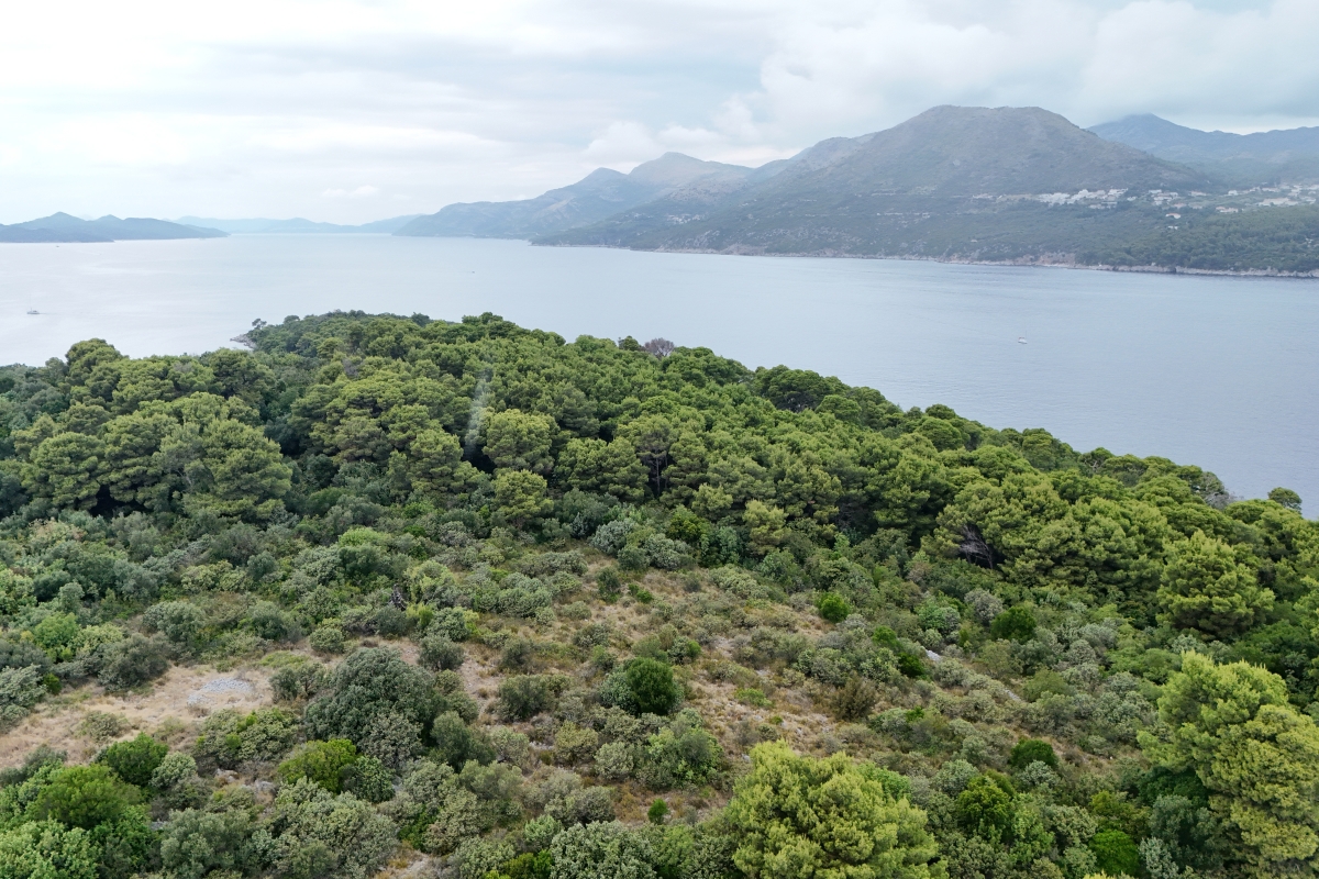Terreno edificabile in prima fila sul mare