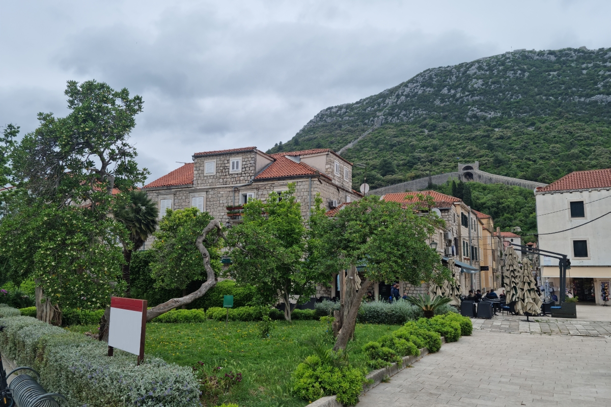 Terreno in posizione unica