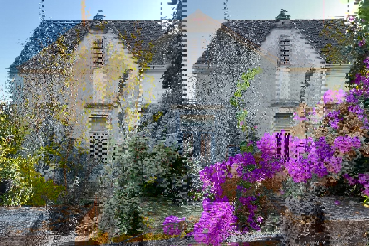 Casa in zona vitivinicola