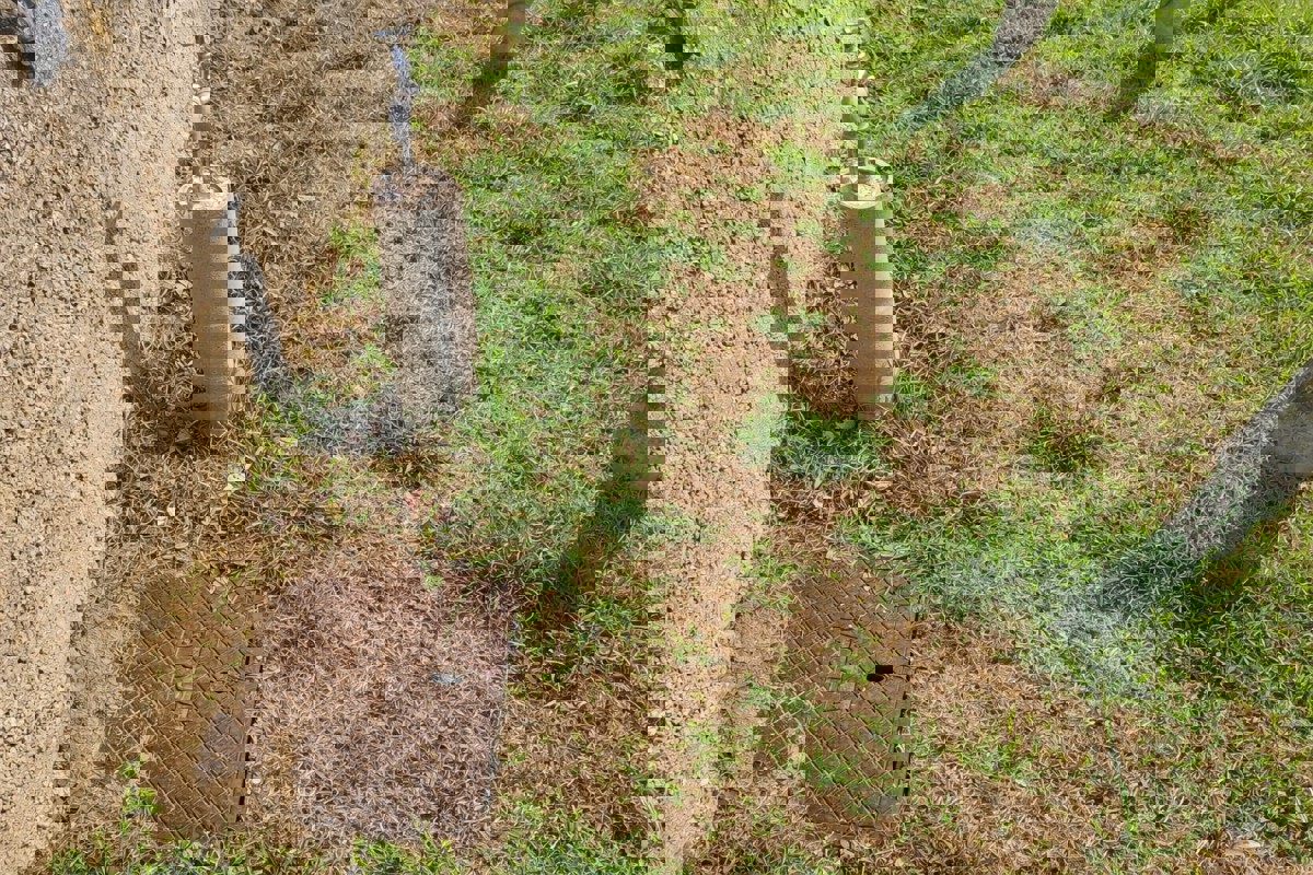 Terreno edificabile con vista mare