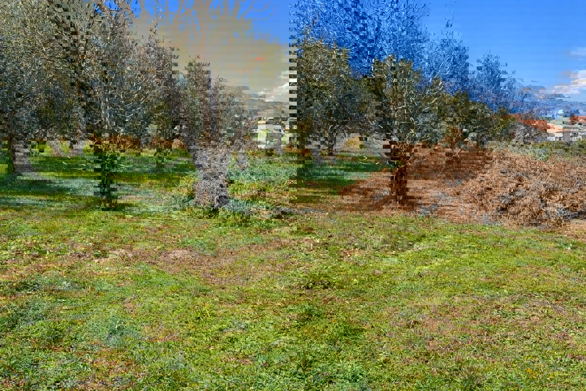 Terreno edificabile con vista mare