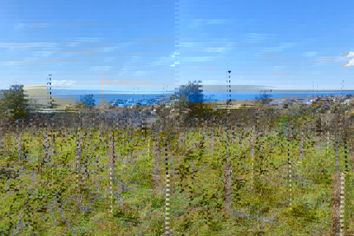 Terreno edificabile con vista mare